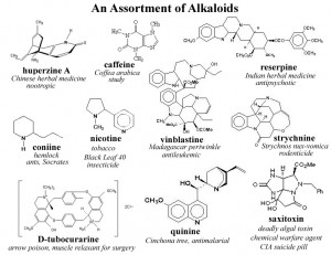 Assortment of Alkaloids